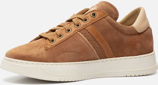 Panama Jack Game C1 Sneakers cognac Suede