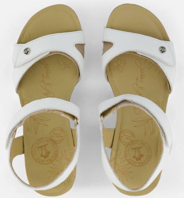 Panama Jack Julia Basics B17 Sandalen wit