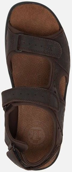 Panama Jack Salton sandalen bruin