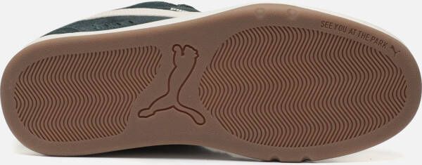 Puma Park Lifestyle SK8 SD Sneakers groen