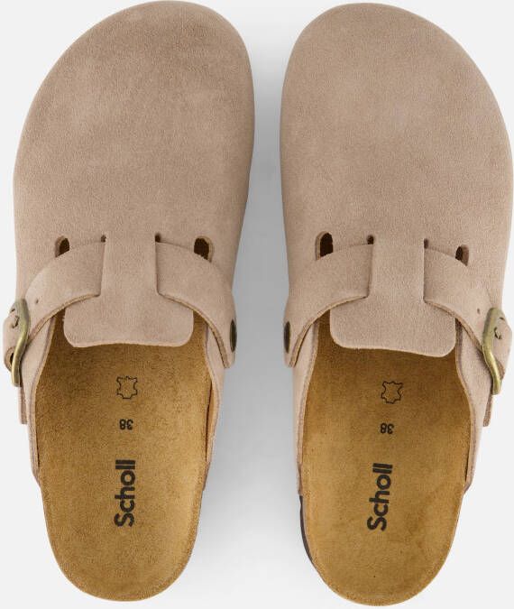 Scholl Fae Clog Slippers beige Suede