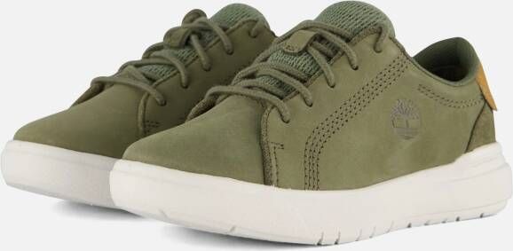 Timberland Seneca Bay Low Sneakers groen