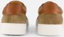 Van Lier Barossa Sneakers taupe Suede - Thumbnail 3