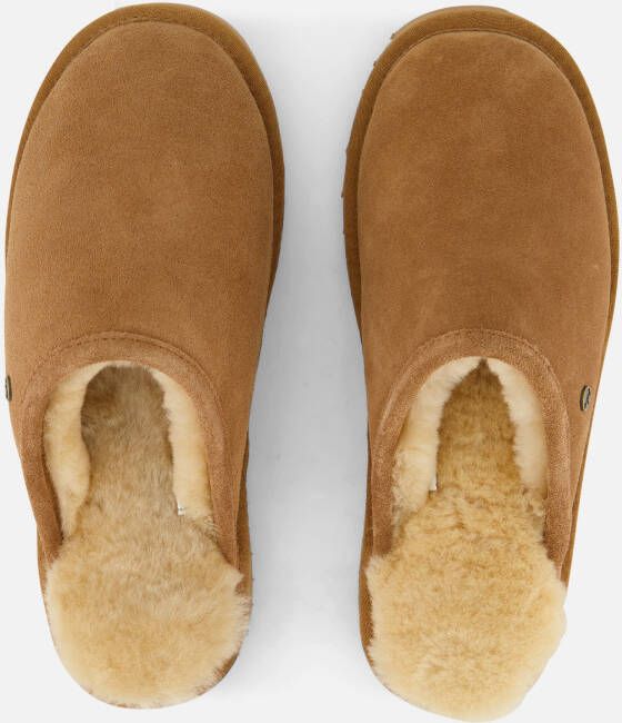 Warmbat Classic Pantoffels cognac Suede