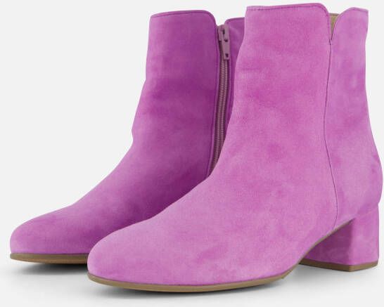 Gabor Enkellaarsjes paars Suede Dames - Foto 2