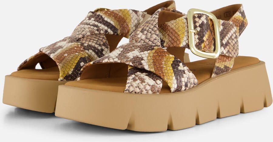 Gabor sandalen Python Synthetisch - Foto 4