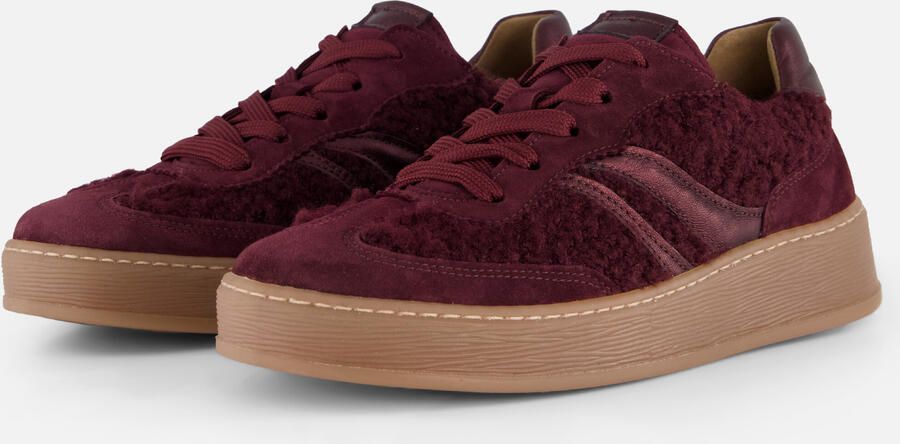 Gabor Sneaker 6018.01.008 Mulberry Teddy Wijdte G - Foto 4