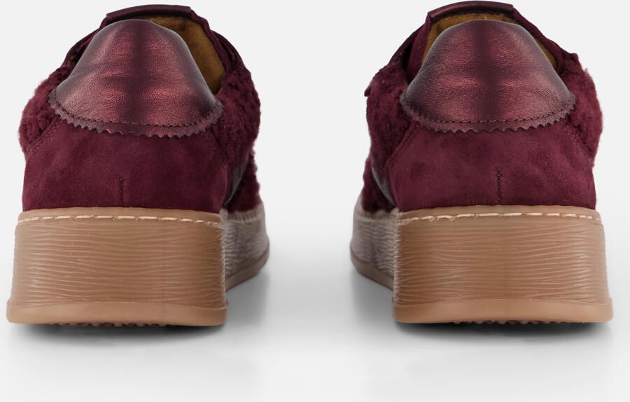 Gabor Sneaker 6018.01.008 Mulberry Teddy Wijdte G - Foto 3