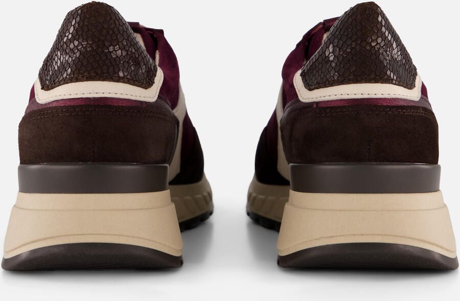 Gabor Sneakers bordeauxrood Suède Dames - Foto 4