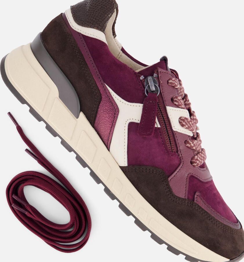 Gabor Sneakers bordeauxrood Suède Dames - Foto 2