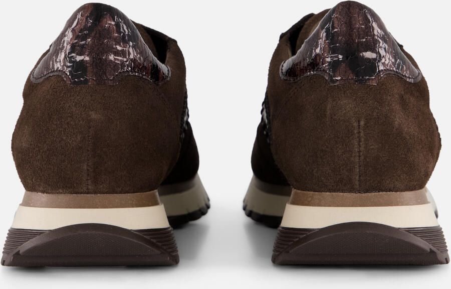 Gabor art. 6029.02 002 bruine sneaker dames - Foto 3