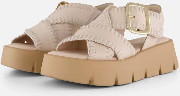 Gabor Sandalen beige Suede Dames