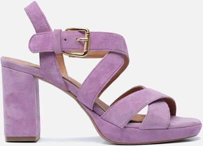 Linea zeta Sandalen met hak paars - Schoenen.nl