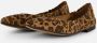 Linea zeta Leopard Ballerina's bruin Leer - Thumbnail 2