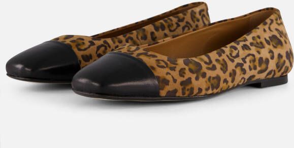 Linea Zeta Leopard Ballerina's bruin Leer
