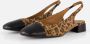 Linea Zeta Leopard Slingbacks zwart Leer - Thumbnail 1