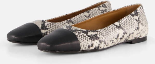 Linea Zeta Snake Ballerina's zwart Leer