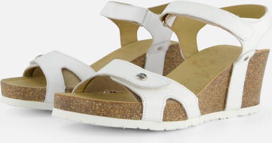 Panama Jack Julia Basics B17 Sandalen wit