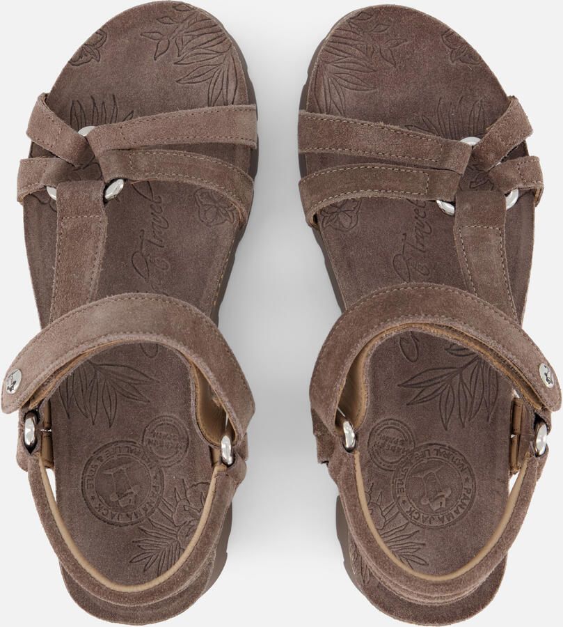 Panama Jack Sally B7 Velour Damessandalen Piedra - Foto 2