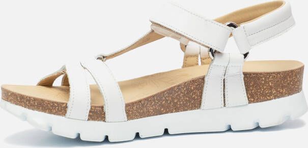 Panama Jack Sally Basics sandalen wit