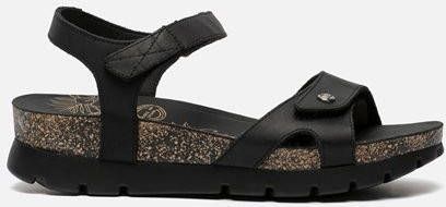 Panama Jack Sulia Basics B2 sandalen zwart