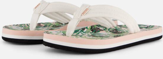 Reef Ahi Zebra Slippers wit Synthetisch