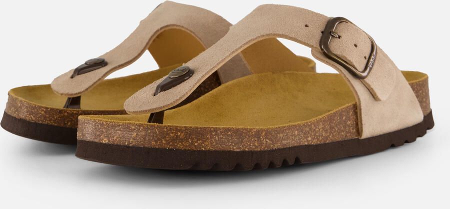 Scholl Anais Slippers beige Suede