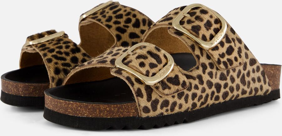 Scholl Footwear Bruin Footwear Noelle Sandalen Bruin F30067 - Foto 8
