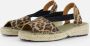 Toni Pons Elmina Espadrilles bruin Suede Dames - Thumbnail 7