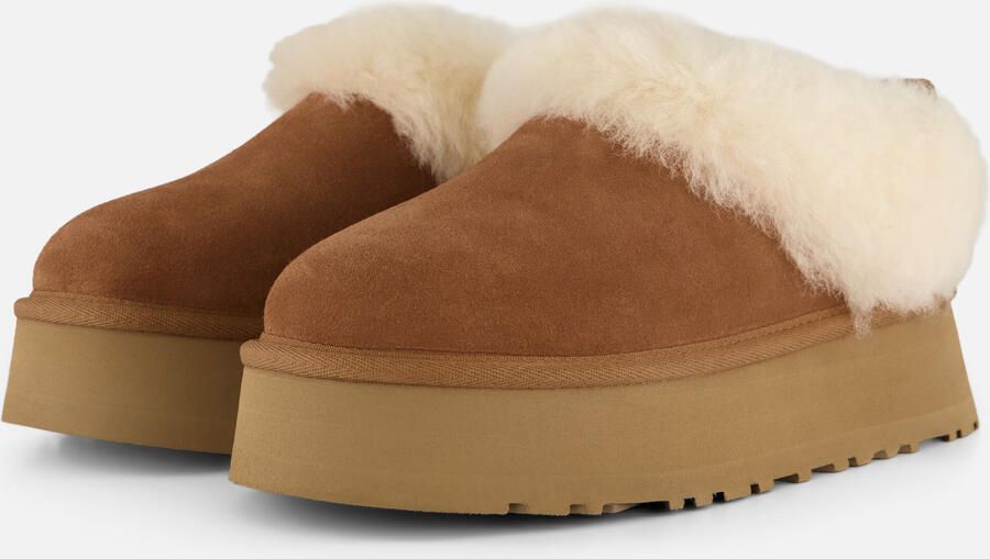UGG Instappers Dames W Tazzelle Suède Bruin - Foto 5