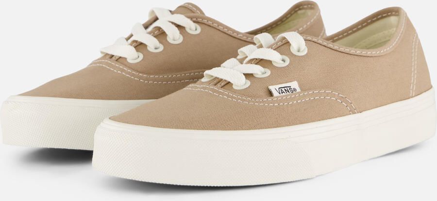 Vans Authentic Color Theory taupe Canvas