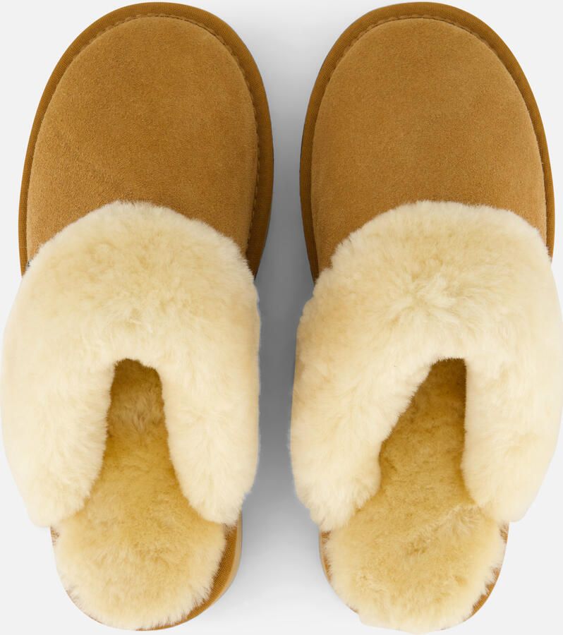 Warmbat Suède Pantoffels voor Wolkenwandeling Brown Dames - Foto 5