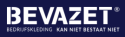 Werkschoeisel